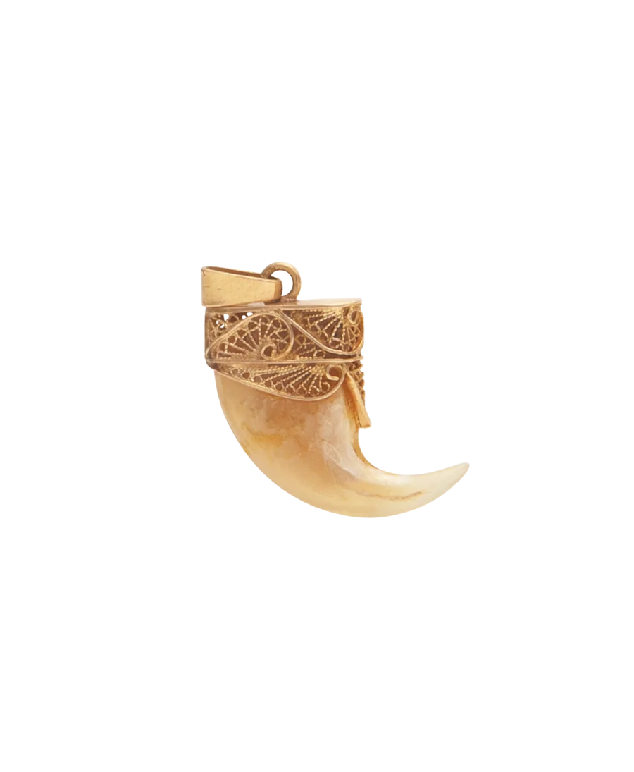 قلادة المخلب هي قطعة رائعة، بمخلب واقعي وأصلي.